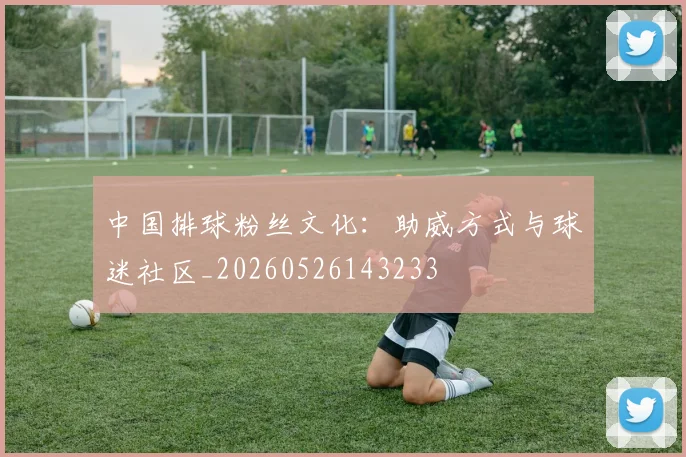 中国排球粉丝文化:助威方式与球迷社区_20260526143233
